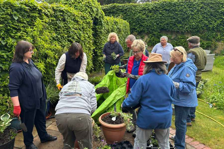 Volunteers working together among plants in a Woodhall Spa garden.